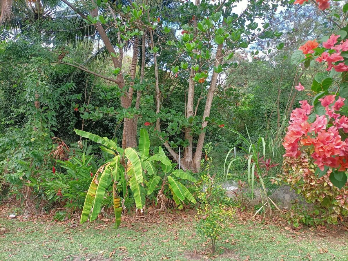 Villa le colibri ble Sainte-Anne Esterno foto
