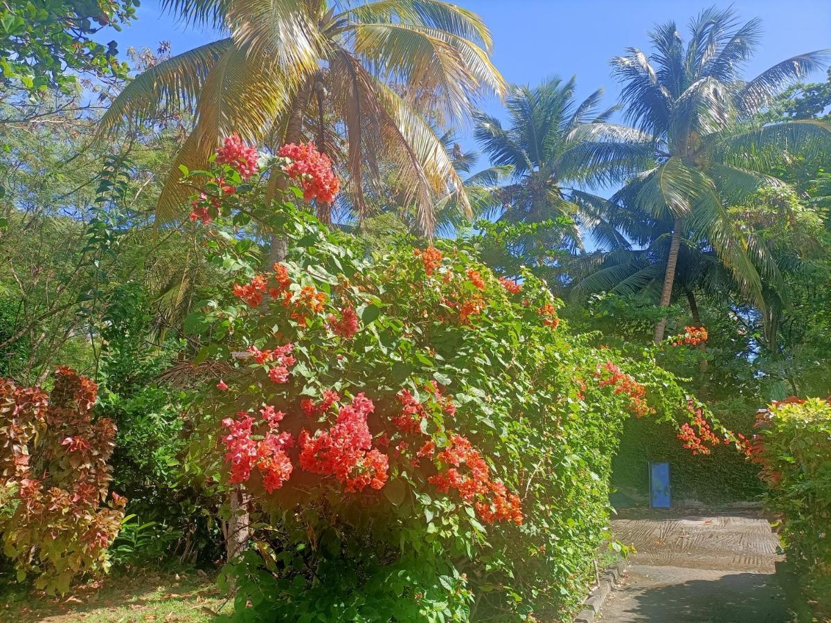 Villa le colibri ble Sainte-Anne Esterno foto