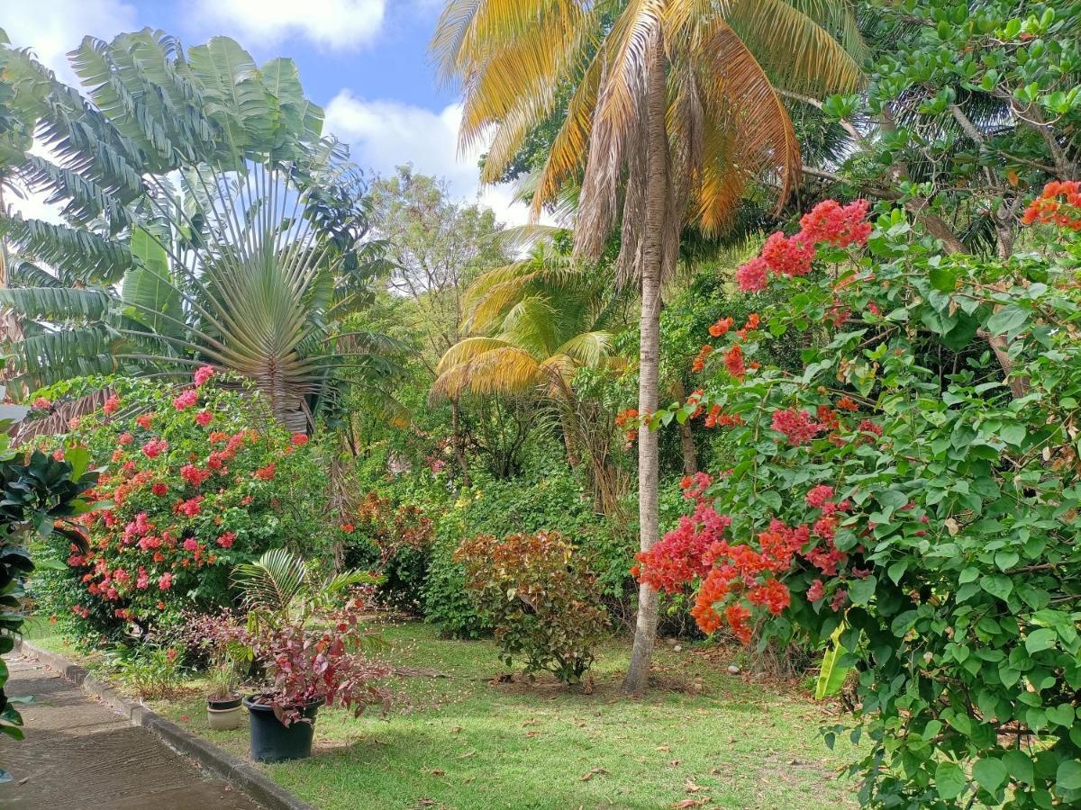 Villa le colibri ble Sainte-Anne Esterno foto